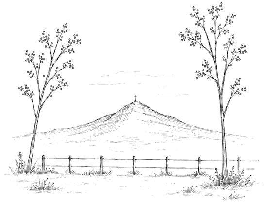 Dibujo de un campo con un cerro, árboles y un alambrado